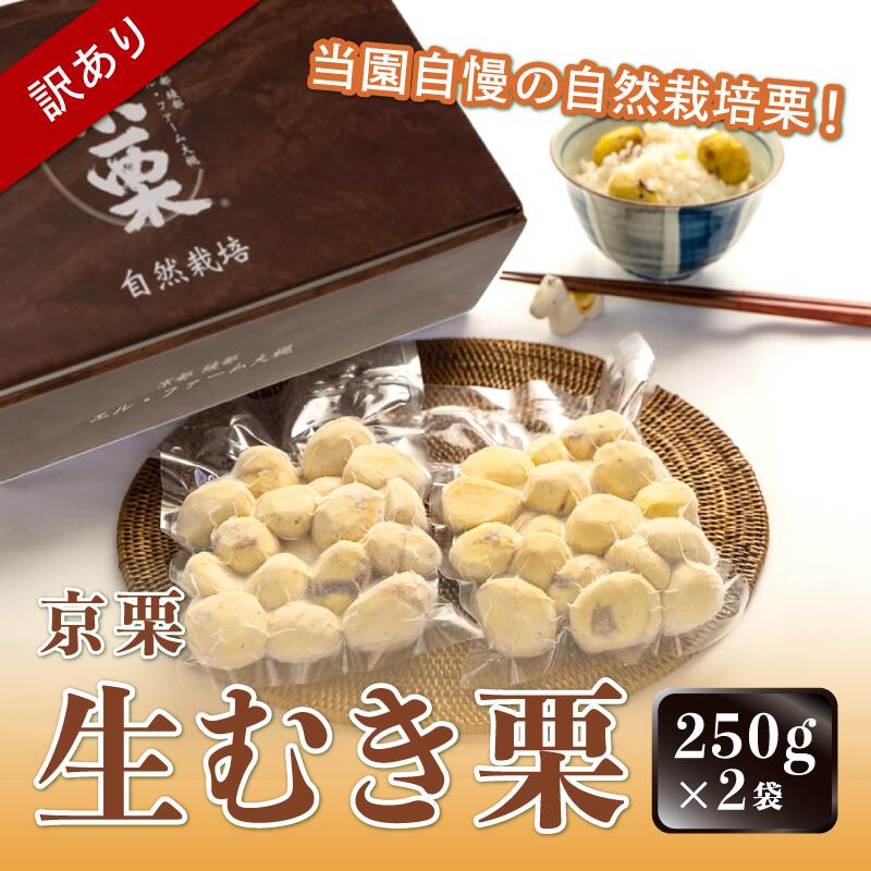 【ふるさと納税】【訳あり】 ≪選べる発送月≫ 京栗 生むき栗 冷凍 500g（250g×2袋）国産 丹波栗 くり 栗 京栗 生むき栗 むき栗 和栗 京の栗 国産 自然栽培 農家直送 わけあり 訳アリ 無農薬 果物 フルーツ スイーツ 季節限定 京都 京都産 綾部 綾部市 エル・ファーム大槻