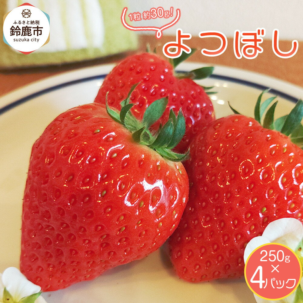 【ふるさと納税】【先行予約】2026冬いちご よつぼし 250g×4 1粒約30g | いちご フルーツ 鈴鹿市 よつぼし 新鮮 甘い 季節限定 先行予約 冬 家庭用 デザート スイーツ 旬 産地直送 おすすめ 人気 送料無料