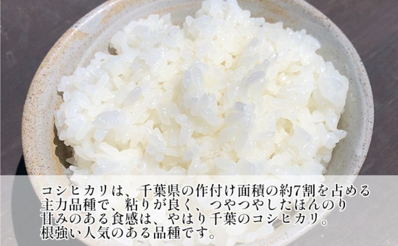 【定期4ヶ月】コシヒカリ　白米　10kg（5kg×2）令和7年産 お米 銘柄米 ご飯 おにぎり お弁当 和食 食卓 精米 国産 千葉県産 産地直送