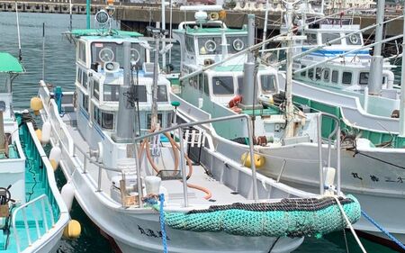 遊漁船「第八十八翔栄丸」 乗船利用クーポン 3000円分 / 釣り 海釣り 船釣り 釣り船 魚釣り フィッシング fishing 漁船 体験 チケット クーポン ジギング ジギング船 タイラバ トンジ
