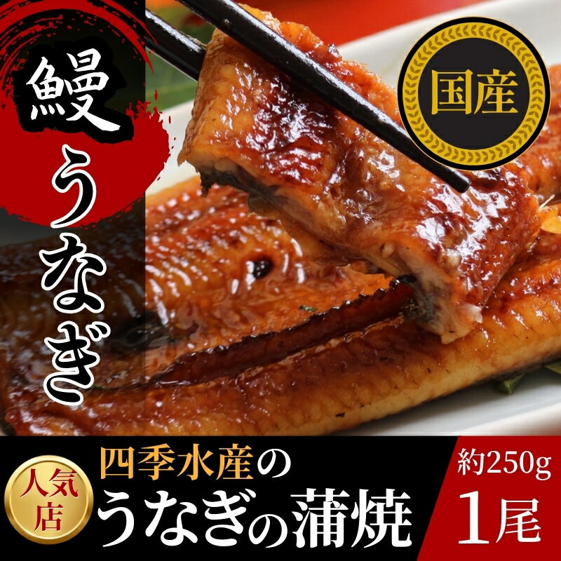 【ふるさと納税】国産うなぎのかば焼き 1切（約250g） 人気鮮魚店「四季水産」特製 ウナギ 鰻 蒲焼 かば焼き 蒲焼き