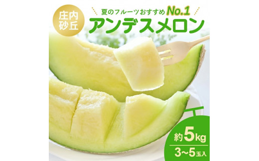 庄内砂丘 『アンデスメロン』　約5kg(青肉/3～5玉入) SA2930