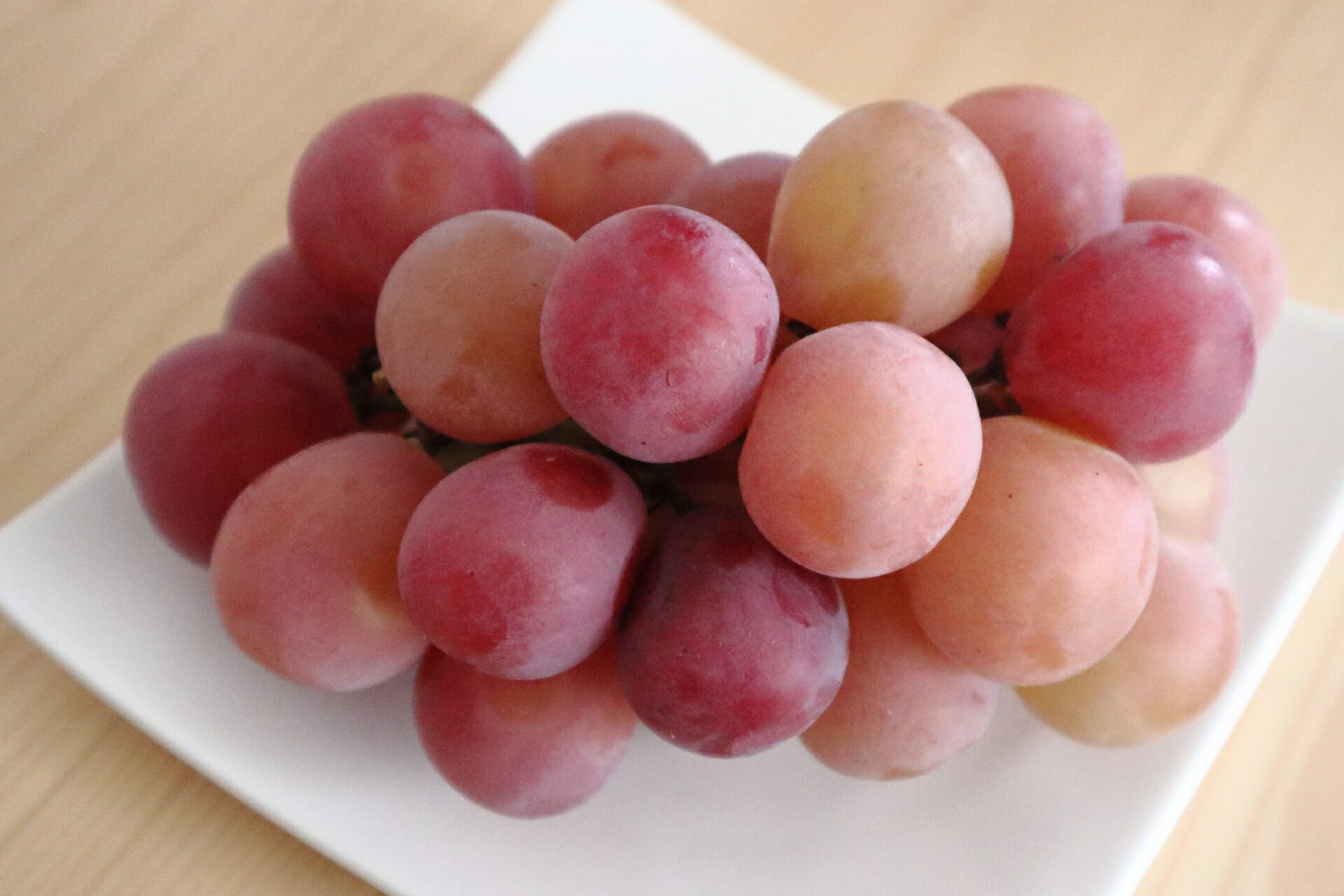 【ふるさと納税】【2026年先行予約】クイーンルージュ® 朝摘み 約700g ~ 約2kg｜果物 フルーツ 赤ぶどう 葡萄 ブドウ 種無し 種なし 皮ごと 千曲市 長野県 信州