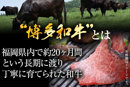 博多和牛切り落とし 訳あり A4～A5 (肩ロース・バラ）500g 黒毛和牛 CP021