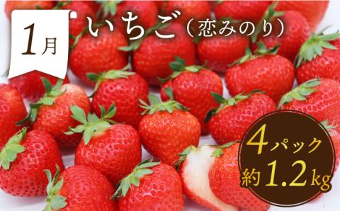 【年6回 奇数月コース】果物屋が選ぶ旬のフルーツ定期便 いちご メロン ハウスみかん 梨 柿 など / 南島原市 / 贅沢宝庫 [SDZ021]