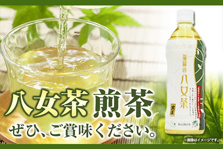 八女茶 煎茶ペットボトル 500ml×24本 株式会社親和園《30日以内に出荷予定(土日祝除く)(土日祝除く)》福岡県 鞍手郡 鞍手町 お茶 緑茶 茶 八女茶 ペットボトル 送料無料