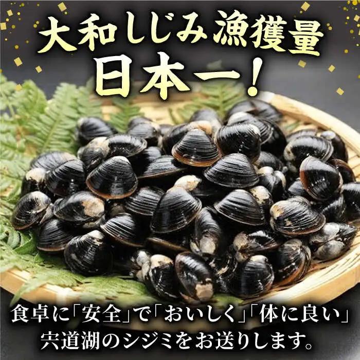 しじみ 宍道湖産 ヤマトシジミ Lサイズ 真空冷凍  80g×20袋 [ALBS002]