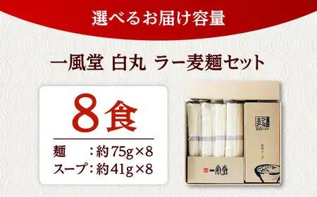 「一風堂」白丸 ラー麦麺セット 合計8食分セット [ADCA003] ラーメン 贈答 博多