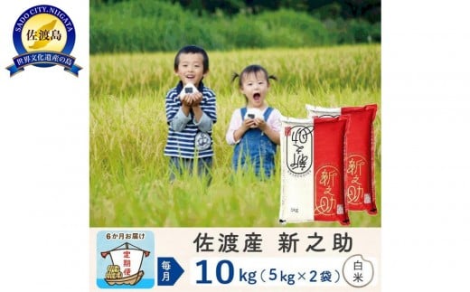 【新米予約 6か月定期便】佐渡島産 新之助 白米10Kg 令和7年