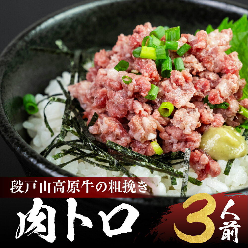 【ふるさと納税】段戸山高原牛の肉トロ 計180g (60g×3パック) 肉トロ フレーク（段戸山高原牛）生食用牛肉 タレ付 冷凍 生食認定工場 安全 鮮度 牛肉 お肉 小分け 冷凍 ブランド牛 生食用 簡単調理 おつまみ つまみ 愛知県 豊橋市10000円 1万円