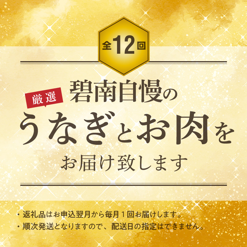 【全12回】厳選！うなぎとお肉の定期便(毎月お届け）　H028-064