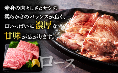 宮崎牛肩ロースステーキ(ハーフカット)計300g 牛 牛肉 焼肉 国産 T009-005【人気  肉 ギフト 肉 食品 お肉 しゃぶしゃぶ  肉 贈り物  肉  お土産  肉 送料無料 肉 プレゼント