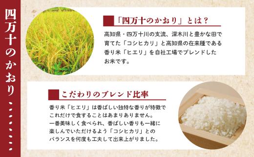 【令和6年産新米・早期受付】四万十のかおり5 kg＆四万十のこしひかり5 kgの食べ比べセット（合計10 kg）【2024年10月より順次配送】R6-156