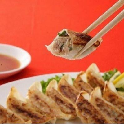 ふるさと納税 那須烏山市 【毎月定期便】90-1 玉ちゃん餃子8人前(24個×2袋) ※着日指定不可全12回