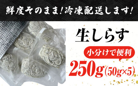生しらすのプリッした食感と塩味が抜群！生しらす50gX5個 冷凍 シラス 鮮魚 ギフト 海鮮丼 広島県産 江田島市/三島水産株式会社[XCN002]