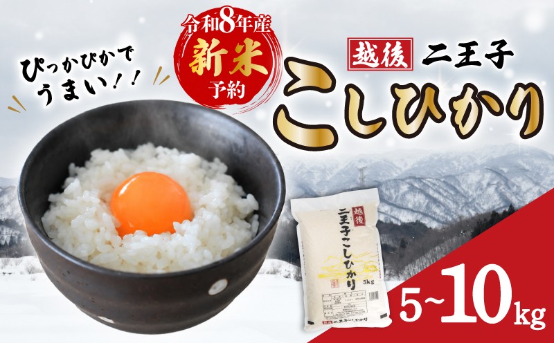 
                  【先行予約】 米 新潟 こしひかり 5kg 10kg （5kg×2袋） 令和8年産 越後二王子 こしひかり コシヒカリ 米 精米 白米 コシヒカリ ご飯 おにぎり 新潟県産 コシヒカリ お米 こめ うまい米 コシヒカリ 玄米 こだわり こしひかり 農家 米 新潟 越後 川東 コシヒカリ 農事組合法人二王子 新潟県 新発田市 新発田 ninoji003P
                