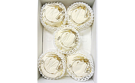 梨 2026年 先行予約 あたご梨 3-6玉（約4kg） 化粧箱