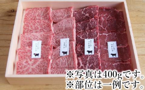 希少部位4種焼肉セット400g【匠牧場】おおいた和牛＜102-011_5＞