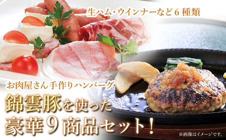 お米育ちの錦雲豚バラエティギフト ハム類・餃子・ハンバーグ・カレー セット | お肉 肉 おにく 豚肉 錦雲豚 ブランド豚 ハム 餃子 ハンバーグ カレー 詰め合わせ 惣菜 九州産 大分県産 国産 冷