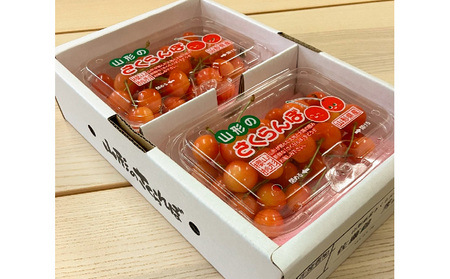 山形市産さくらんぼ【佐藤錦】Lサイズ 400g(200g×2パック)  【令和9年産先行予約】FS25-035