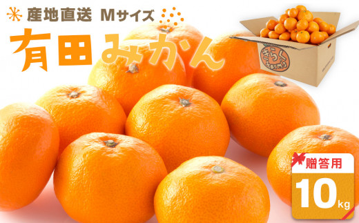
                  産地直送 贈答用 有田みかん Mサイズ 約10kg 喜楽farms 【2026年11月以降順次発送】
                