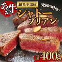 【ふるさと納税】レビューキャンペーン対象 あか牛 シャトーブリアン ステーキ バーベキュー 200g×2枚 400g 高級 希少 牛肉 冷凍 赤牛 あかうし 熊本 くまもと 贈り物 ギフト 褐色和牛 和牛 国産 赤身 熊本県 阿蘇市