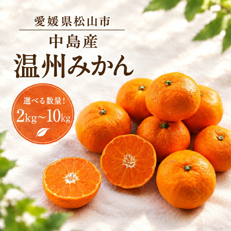 【ふるさと納税】 【2026年11月下旬頃から順次発送】 温州みかん 2kg ~ 10kg 数量選択可 早生 わせ 南柑20号 みかん 数量限定 みかん 愛媛県産 みかん 松山市 みかん 中島 みかん 温州みかん みかん 蜜柑 温州みかん ミカン みかん 旬 温州みかん
