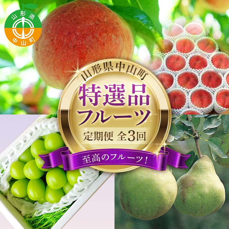 【ふるさと納税】 2025年8月発送開始 先行受付 山形県 至高のフルーツ！ 山形県中山町特選品フルーツ定期便 全3回 桃 シャインマスカット ラ・フランス 山形県 中山町 F4A-0478