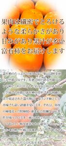  【先行予約】和歌山秋の味覚　平核無柿（ひらたねなしがき）約4kg　化粧箱入　※2026年10月上旬頃〜2026年11月上旬頃順次発送（お届け日指定不可）/柿 果物 フルーツ くだもの 先行予約【uo