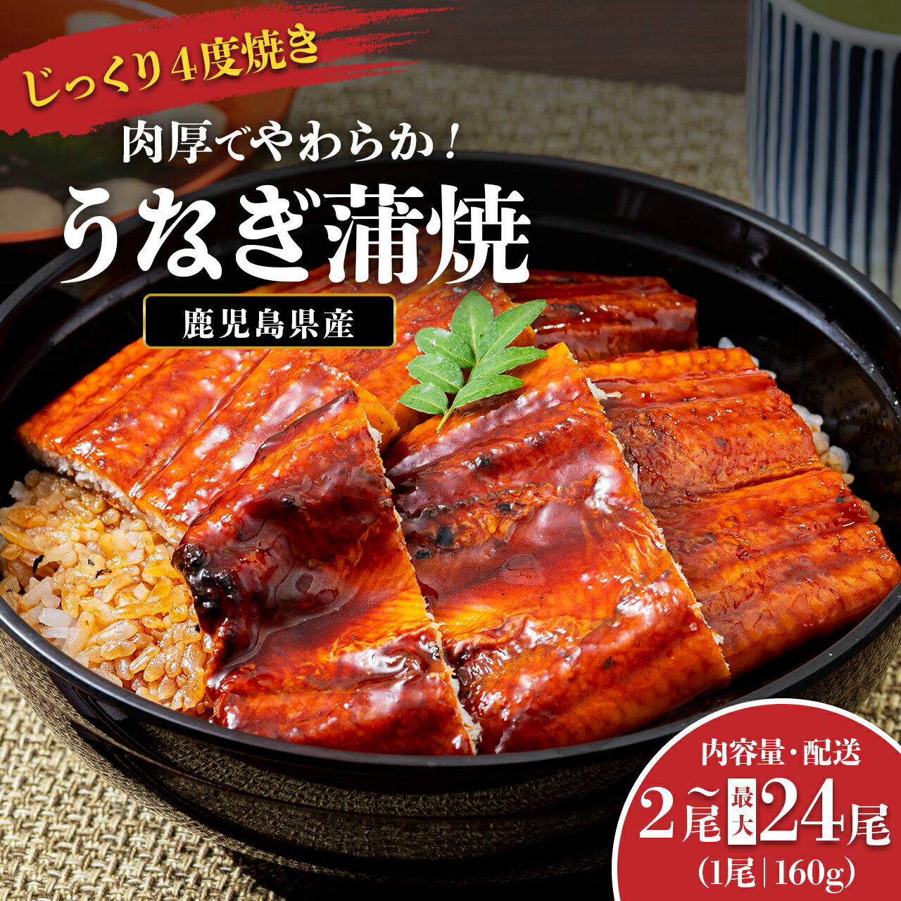 地下水で育てた絶品うなぎ うなぎ 長蒲焼 2尾 300g | ふるさと納税 うなぎ 高級 ウナギ 鰻 国産 蒲焼 蒲焼き たれ 鹿児島 大隅 大崎町 ふるさと 人気 送料無料