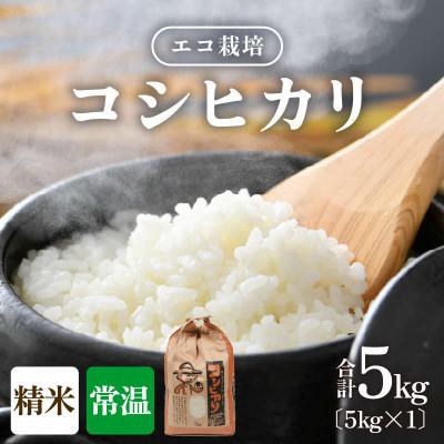 ふるさと納税 あわら市 【令和8年産】【一等米】 エコ栽培コシヒカリ　精米5kg
