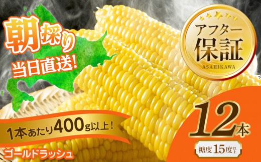 
                  ◆ふるさとチョイス限定◆【先行予約】黄金色で大粒 ゴールドラッシュ 12本 4.8kg (2026年8月下旬より発送予定) 【 人気 北海道産 糖度 生 野菜 スイートコーン 産地直送 バーベキュー BBQ コーン 旬 お取り寄せ 旭川市 北海道 送料無料 】_00408
                