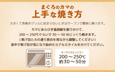 マグロの王様！国産 本まぐろカマ1kg 抜群の脂乗り 本まぐろ 本マグロ まぐろ マグロ 鮪 [e04-a051]