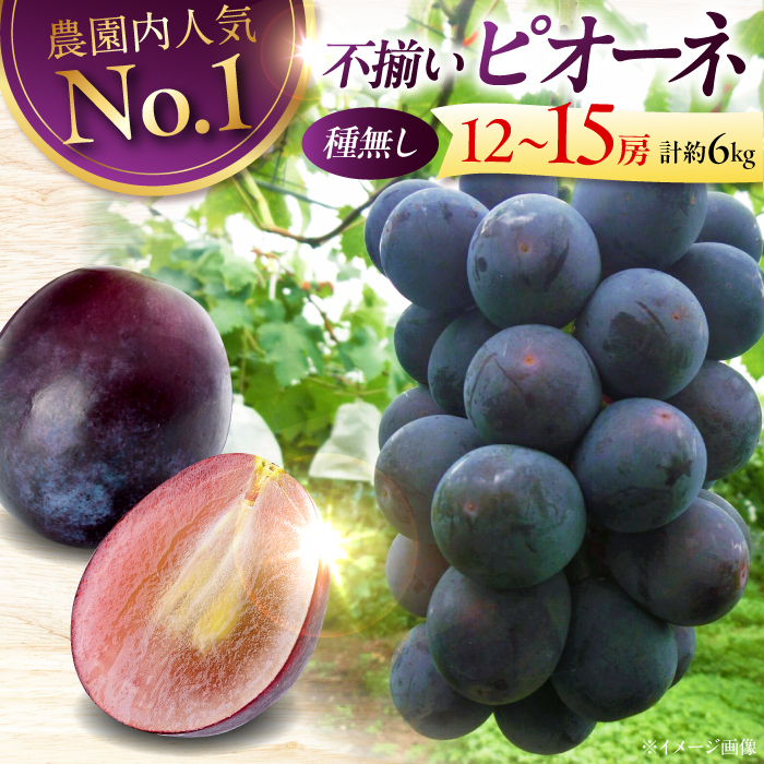 【2026年先行予約】＜8月下旬から順次発送＞ ピオーネ 6kg（12から15房） ぶどう 葡萄 フルーツ 果物 くだもの ぶどう ピオーネ 三次市/芝床農園 [APCK004]