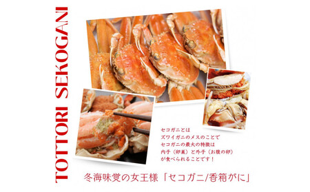 セコガニ 特大サイズ150～190g ×5枚 ご進物用（茹で）