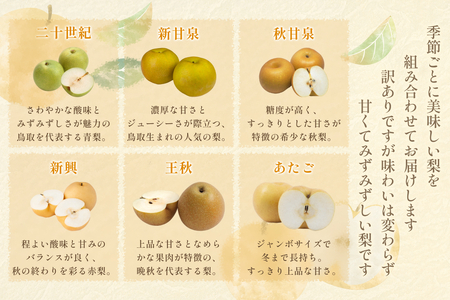先行予約 訳あり 鳥取県産旬の梨セット 4kg｜鳥取 果物 フルーツ なし 梨【41044】