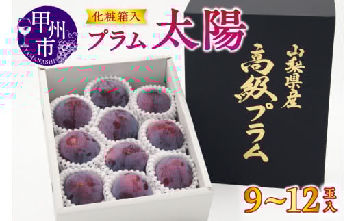 【宿沢フルーツ農園】プラム『太陽』（9～12玉）【2026年発送】（SF）B-194 【太陽 すもも スモモ 令和8年発送 期間限定 山梨県産 甲州市 フルーツ 果物】