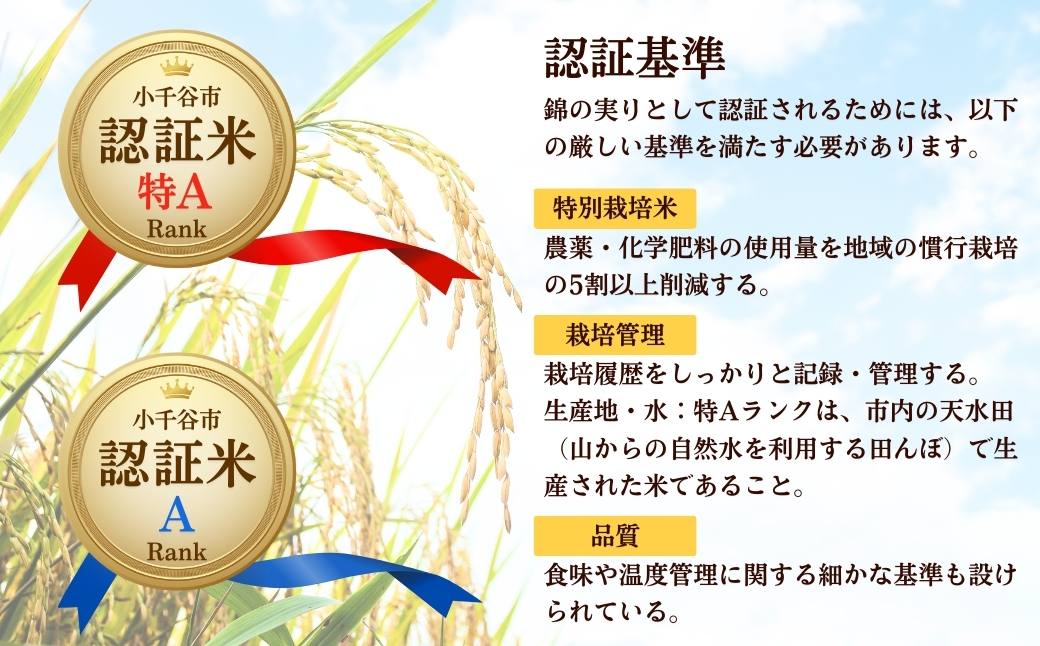 令和7年産 魚沼産コシヒカリ 定期便 小千谷市ブランド認証米「錦の実り」Aランク 精米20kg (5kg×隔月全4回) 【0002-Oba13DB00-02】