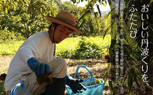 【10月上旬発送】秦栗園の丹波栗 筑波3L 1kg【第1回福知山市ええもん認定】 大粒  ふるさと納税 栗 くり 人気 和 スイーツ 高級 和菓子 栗菓子 ギフト プレゼント お取り寄せ グルメ 京都