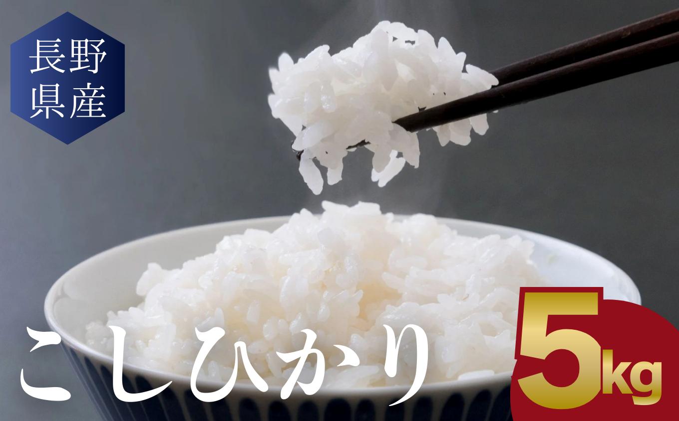 
            こしひかり 白米 5kg │ 信州 松本市 米 お米 コシヒカリ こしひかり アルプス 国産米 長野県産 おすすめ 白米 ふっくら 農家 ふるさと納税 松本市 美味しい
          