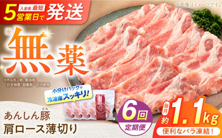 【6回定期便】《バラ凍結》肩ロース薄切り 1.1kg 豚肉 白川町 / 藤井ファーム[AWAF047]