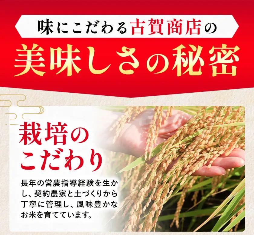 ＼熊本県 南関町産／ 令和7年産 米 白米 5kg(5kg×1袋) ひのひかり《30日以内に出荷予定(土日祝除く)》 ミネラル肥料栽培米 精米 国産米 単一原料米 ごはん お米 ご飯 九州産 ヒノヒカ