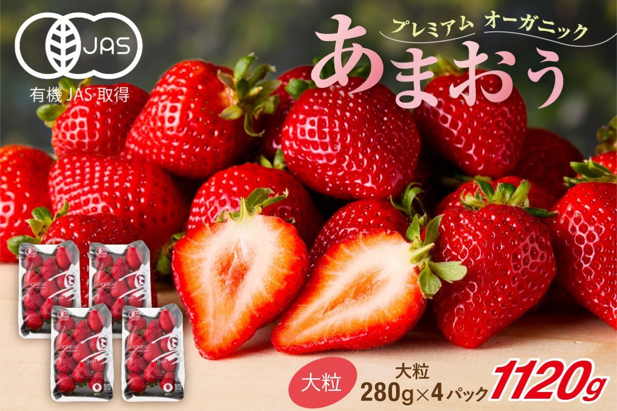 
                  オーガニックあまおう 「いせいちご」 おまかせ4パック（大粒）【伊世いちご畑】_HA1019
                