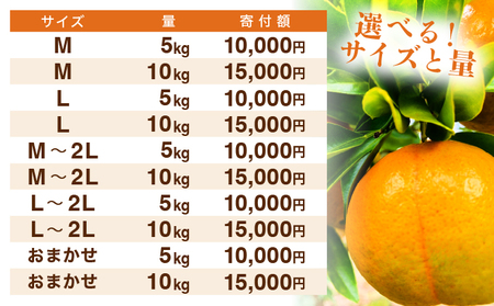 NT2-7-05【kg数が選べる】 ＜おまかせ　5kg＞