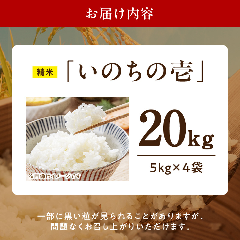 R7年産　「いのちの壱」（20kg）＜農家直送＞ ［208K12］ 希少米 20kg 米 精米 白米 ご飯 国産 産地直送 甘い 粘り強い もちもち お取り寄せ こだわり米 愛知県 小牧市 送料無料_