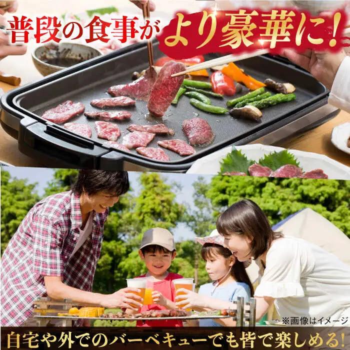 【全6回定期便】ランプステーキ 2枚 300g[VF17] ランプステーキ 定期便