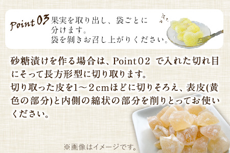 森田果樹園の晩白柚 1玉 森田果樹園《11月下旬-2月末頃出荷予定》果物 フルーツ サボン 熊本