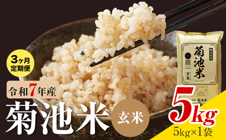 【3ヶ月定期便】熊本県産 菊池米 玄米 5kg 1袋5kg 米 お米 令和7年産 九州産 熊本県産 送料無料《お申込み翌月に出荷予定》玄米 米