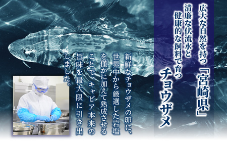 【訳あり】宮崎県産キャビア 詰め合わせ 合計100g キャビア 魚卵 ギフト