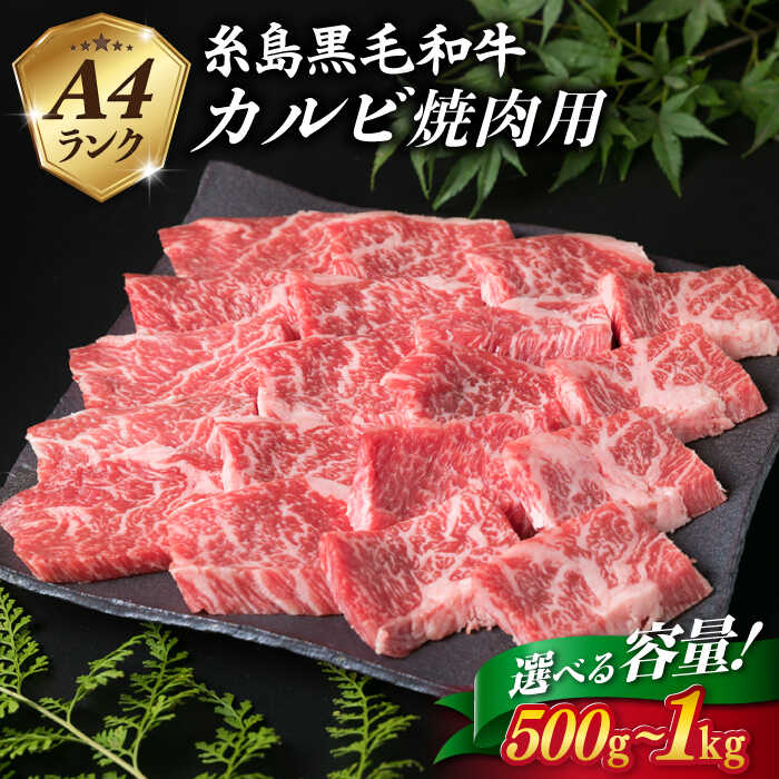 【ふるさと納税】【お中元対象】A4ランク 糸島 黒毛和牛 カルビ 焼肉用 500g/1kg 【糸島ミートデリ工房】 [ACA049] お届け内容量と回数選べる 15000円 黒毛和牛 冷凍配送